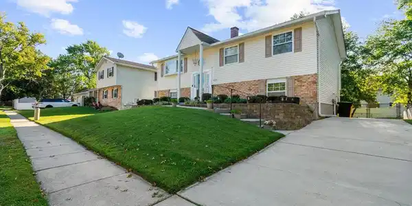 Image 2