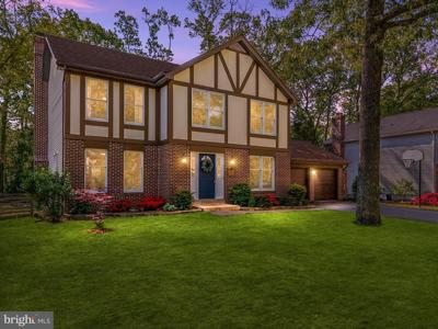 397 GAMBEL OAK COURT
