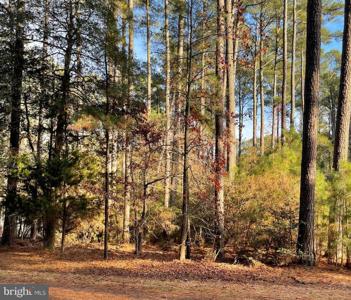 Lot 502 DRIFTWOOD DRIVE