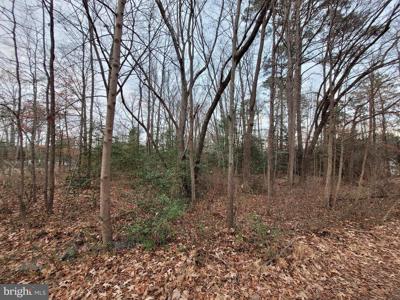 Lot 14 FOREST GROVE RD