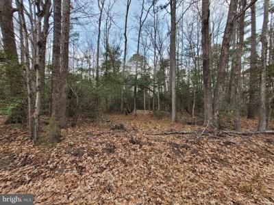 Lot 33 WILDWOOD RD
