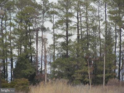 PINEY POINT ROAD