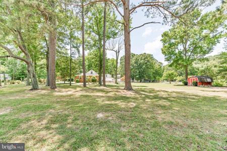 SPRING LAKE DRIVE