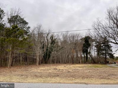12307 SINEPUXENT ROAD