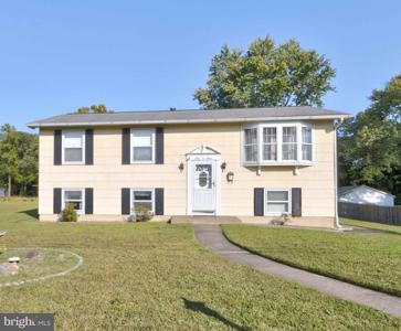 103 DISNEY AVENUE
