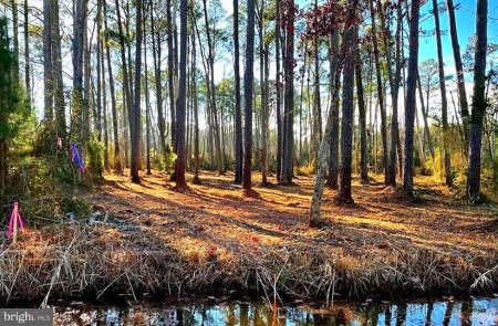 Lot 5 NEVETTE MUIR ROAD