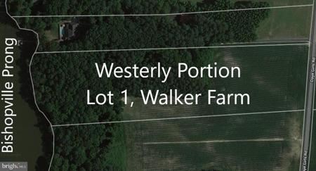 Westerly Portion Lot 1, DAYE GIRLS ROAD