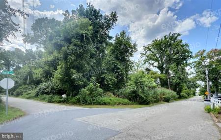 BUSH AVENUE