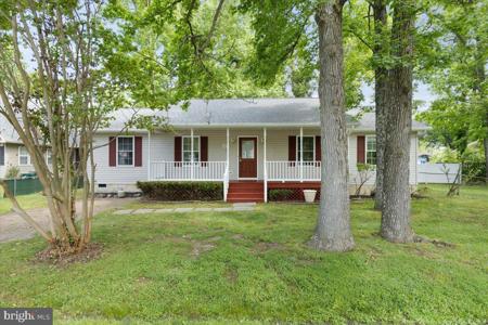 439 BIRCH DRIVE