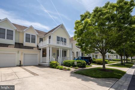 59 TULIP POPLAR TURN