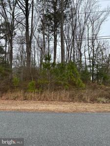 Lot 38 MISSISSIPPI