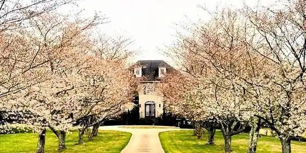 1080 WESTFIELD DRIVE