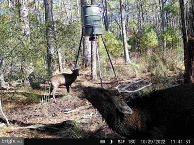 0 SHORTERS WHARF RD