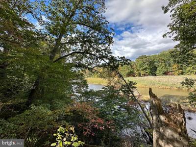 23628 CANVASBACK ROAD