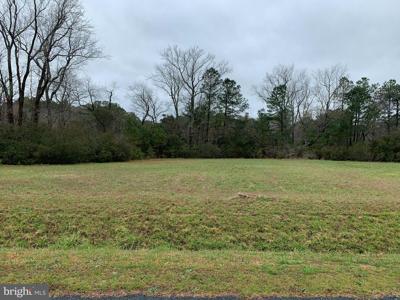 Lot 8 PEACEFUL LAKES DRIVE