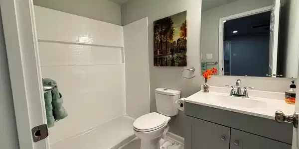 Image 4