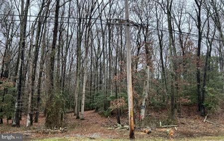 11720 LITTLE COVE POINT ROAD