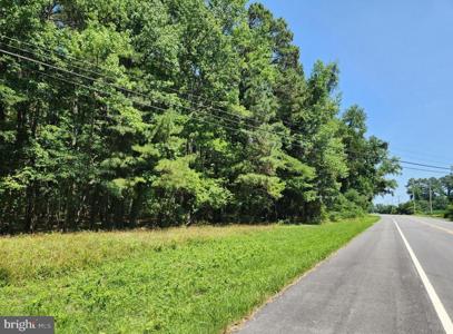 POINT LOOKOUT ROAD