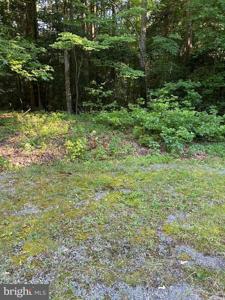 TURKEY RUN CT