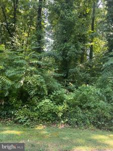 11544 HOOFBEAT TRAIL