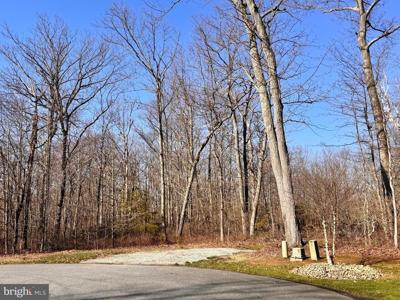 FREEDOM SCHOOL ROAD