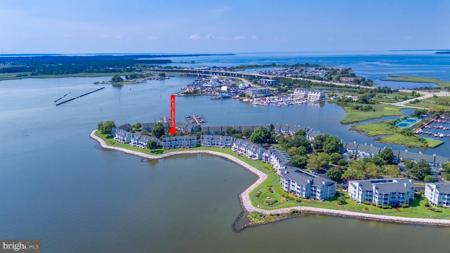 1309 OYSTER COVE DRIVE