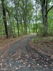 21738 CABIN LANE