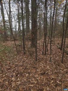 17 EVERGREEN DR