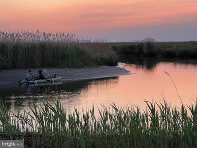 2229 ELLIOTT ISLAND ROAD