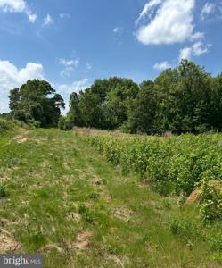 Lot 7 KINGS HWY