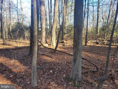 Lot 13 HOLIDAY LANE
