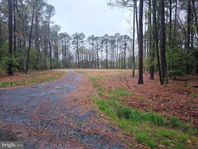 HOLLY WOODS ROAD