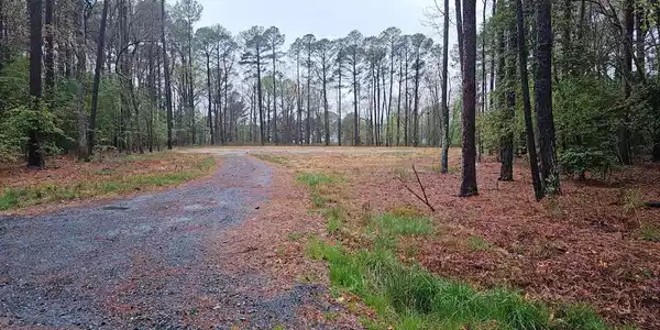 HOLLY WOODS ROAD