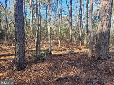 Lot 20 ORANGE DRIVE