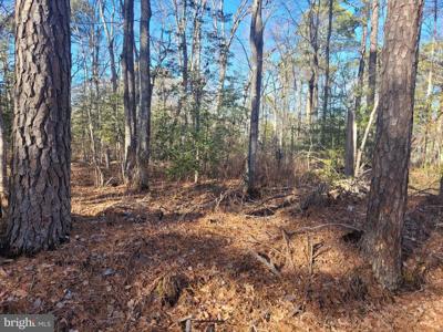 Lot 21 ORANGE DRIVE