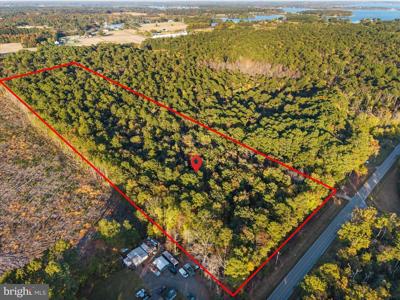 HATCHET THICKET ROAD