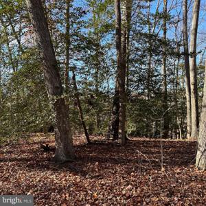 MACHODOC CREEK/RT218