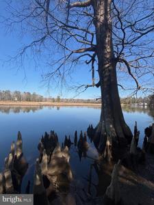 339 NECK-O-LAND ROAD