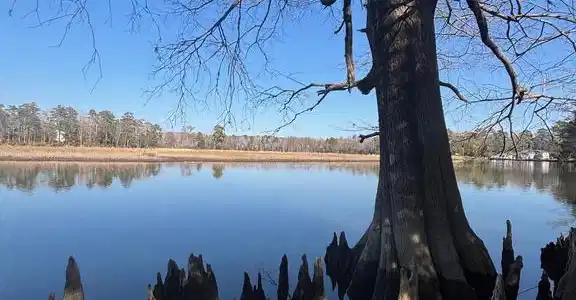 339 NECK-O-LAND ROAD