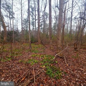 W HIGHVIEW DR LOT 134