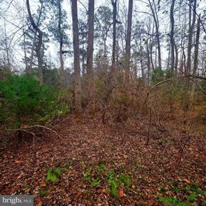 W HIGHVIEW DR LOT 135