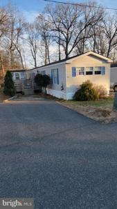 38 BUDDY BLVD
