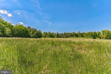 2195 HENRY HUTCHINS ROAD