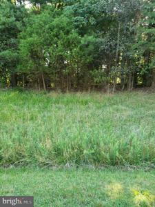 Lot 8 LAKE
