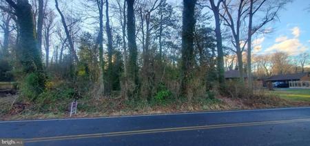 GOUR ROAD