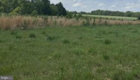 Lot 10 KINGS HIGHWAY