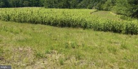 Lot 11 KINGS HIGHWAY