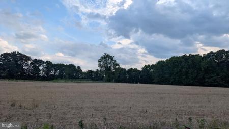 Lot 1 ZACATA ROAD