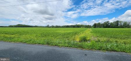 BULLBEGGER ROAD