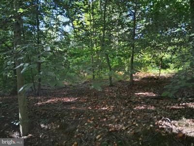 419 COKESBURY ROAD